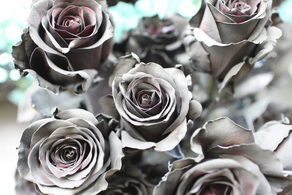 染めバラ「ティンテッドブラック」