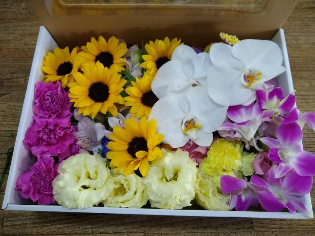 Pet funeral flowers (mainly Western flowers): From 3,300 yen tax included