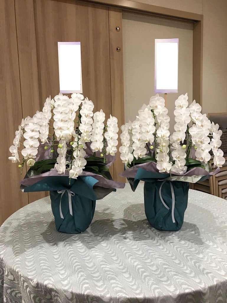 Funeral Phalaenopsis Orchid: 22,000 yen tax included and up
