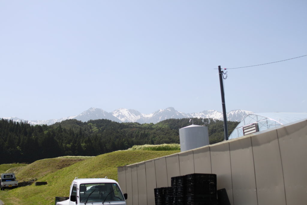 圃場から見た様子
